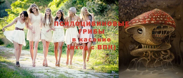 винт Аркадак