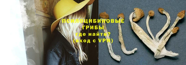 стафф Армянск