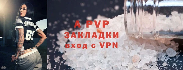 молекула духа Арсеньев
