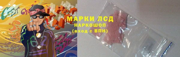 молекула духа Арсеньев