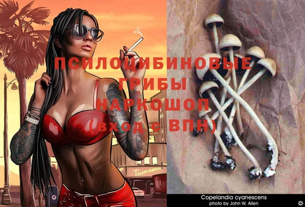 стафф Армянск