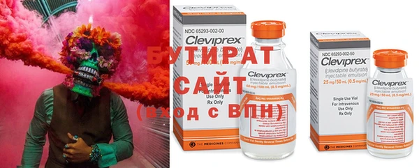 молекула духа Арсеньев
