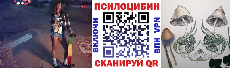 Псилоцибиновые грибы Cubensis где найти Ачхой-Мартан